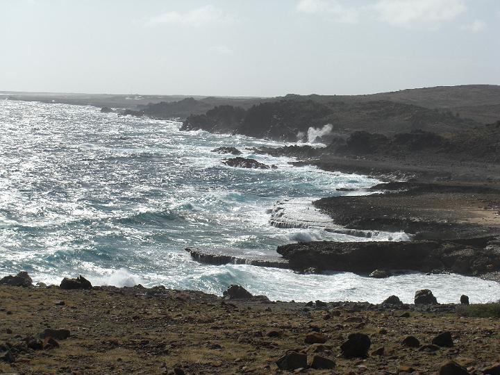 Aruba - January 2008 021.JPG